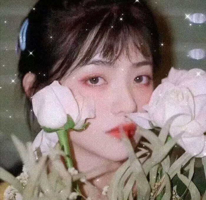夏洛特时光